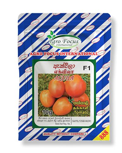 
Agro Focus International (Imported Agricultural Seeds, High-Yield Crop Seeds, Hybrid & Certified Seeds, Vegetable & Fruit Seeds for Sri Lanka, Seed Import & Distribution, Agricultural Machinery Imports, Modern Farming Equipment, Farm Mechanization Solutions, Trusted Agri-Technology Partner)
