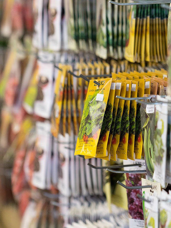 Imported seeds